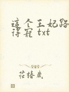 这个王妃路子野得宠 txt封面