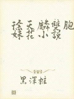 徐天麟双胞胎姐妹花小说