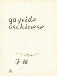 gayvideoschinese封面