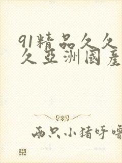 91精品久久久久亚洲国产