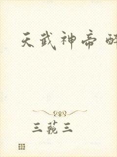 天武神帝 醉封面