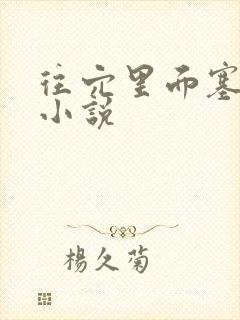 往穴里面塞东西小说