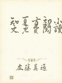 知夏方初小说全文免费阅读最新章节