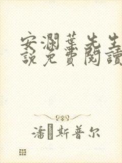 安澜叶先生的小说免费阅读封面