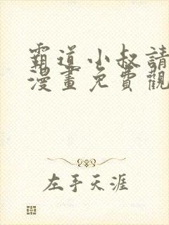 霸道小叔请轻撩漫画免费观看下拉式封面