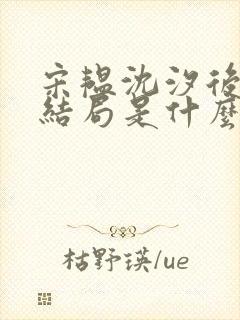 宋韫沈汐后续大结局是什么封面
