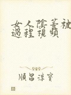 女人阴蒂被舔全过程视频