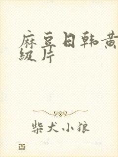 麻豆日韩黄色一级片