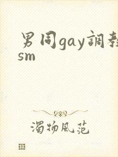 男同gay调教sm