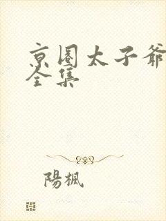 京圈太子爷短剧全集