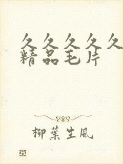 久久久久久国产精品毛片