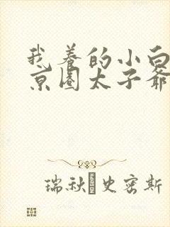 我养的小白脸是京圈太子爷主演封面