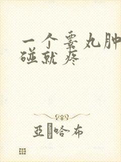 一个睾丸肿大一碰就疼