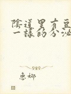 阴道里有豆腐渣一样的分泌物用什么药