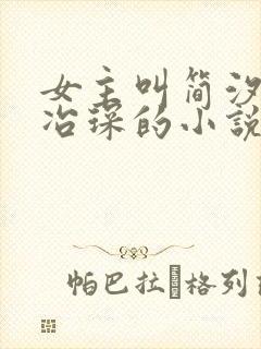 女主叫简汐跟秦冶琛的小说