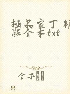 极品家丁 精校版全本txt封面