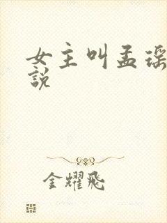 女主叫孟瑶的小说