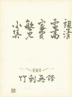 小敏家电视剧全集免费高清