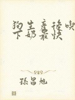 狗生产后吃什么下奶最快