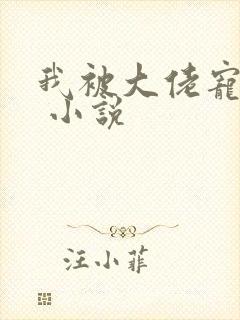 我被大佬宠上天 小说