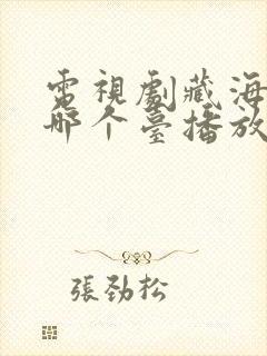 电视剧藏海传在哪个台播放封面