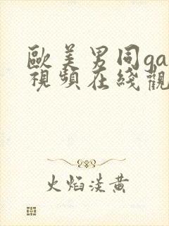 欧美男同gay视频在线观看