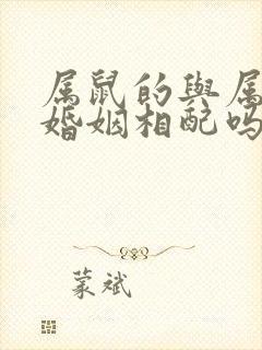 属鼠的与属兔的婚姻相配吗