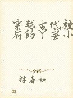 穿越古代被放出府的丫鬟小说