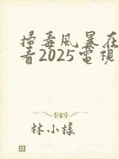 扫毒风暴在线观看2025电视剧