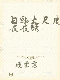日韩大尺度一区夜夜骚
