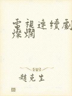 电视连续剧我心灿烂