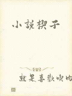 小说楔子