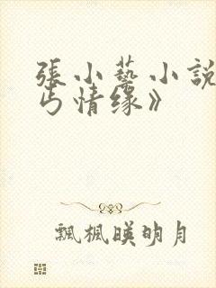 张小艺小说《乞丐情缘》