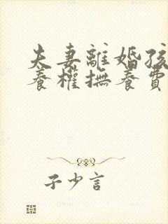 夫妻离婚孩子抚养权抚养费怎么判定封面