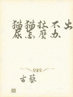 猫猫拉不出来屎尿怎么办封面