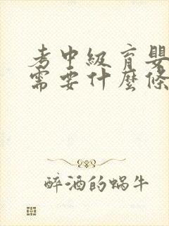 考中级育婴师证需要什么条件封面