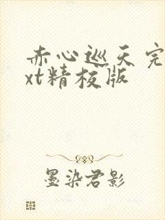 赤心巡天完结txt精校版