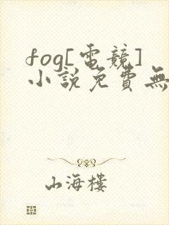 fog[电竞]小说免费无弹窗