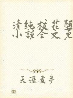 清纯校花堕落记小说全文免费阅读封面