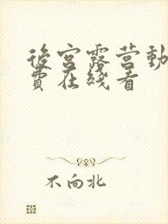 后宫露营动漫免费在线看