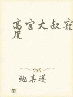 高官大叔宠妻无度