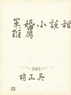 军婚小说甜宠文推荐