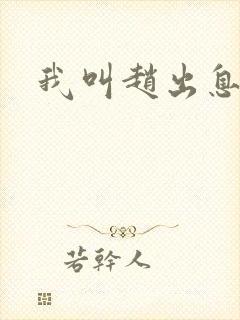 我叫赵出息齐思