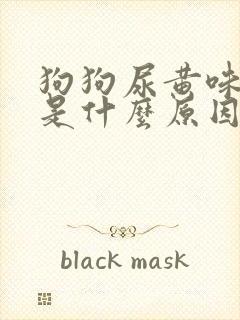 狗狗尿黄味道重是什么原因