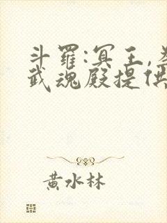 斗罗:冥王,为武魂殿提供神级武魂