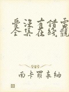 爱没有错电视剧全集在线观看免费