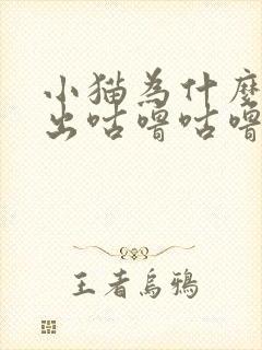 小猫为什么会发出咕噜咕噜的声音