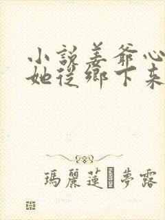 小说姜爷心尖宠她从乡下来最新章节封面