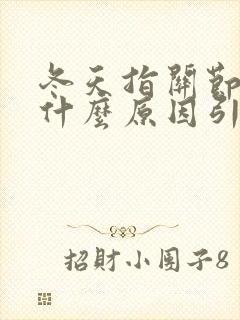 冬天指关节疼痛什么原因引起的