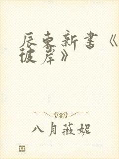 辰东新书《深空彼岸》封面